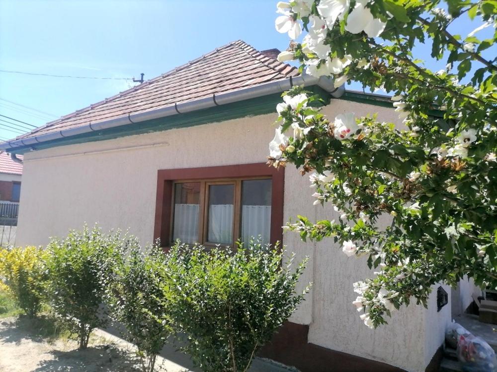 Lankas Vendeghaz - Holloko Villa Екстериор снимка